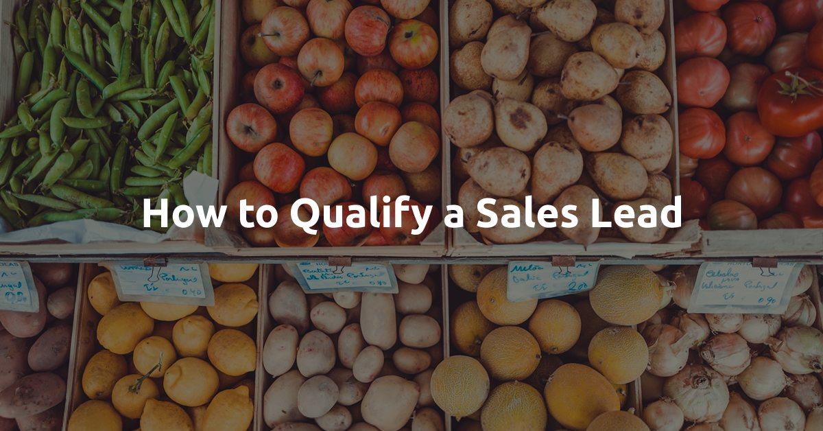What is Lead Qualification & How It Works?